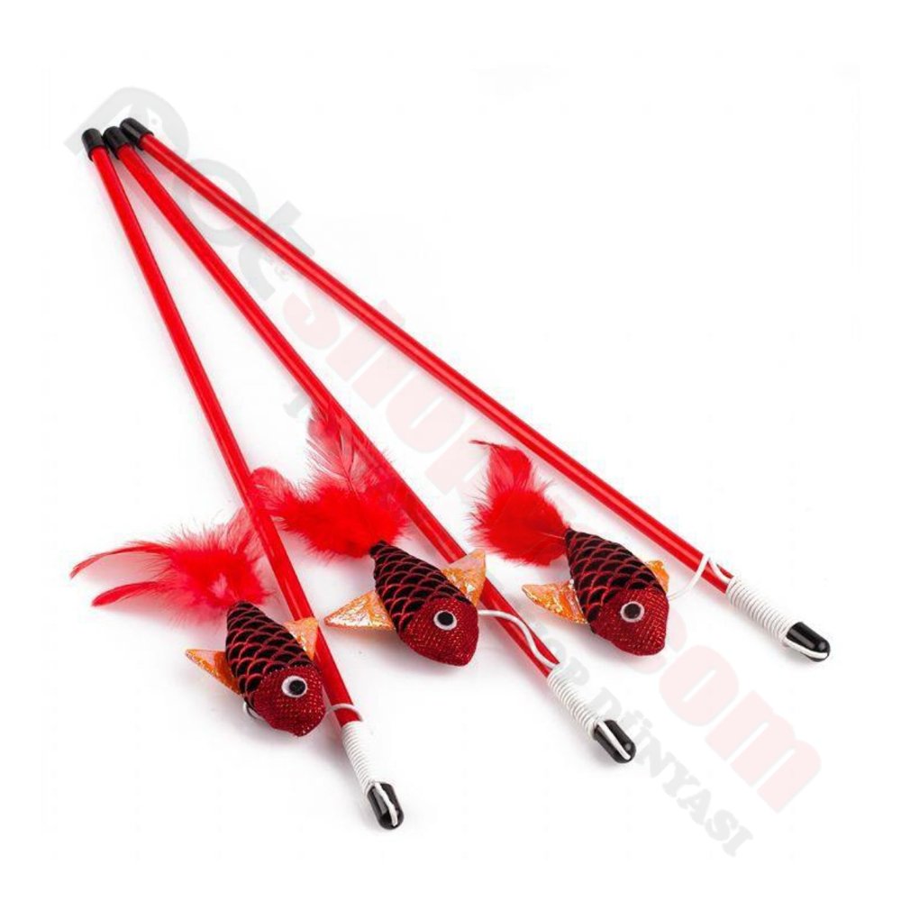 NUNBELL KEDİ OLTASI RENKLİ BALIKLAR
