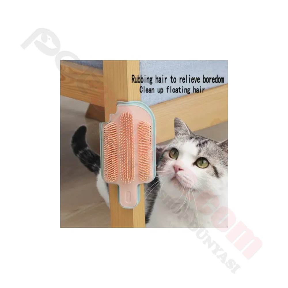 KEDİ OTU HAZNELİ KAŞINMA APARATI