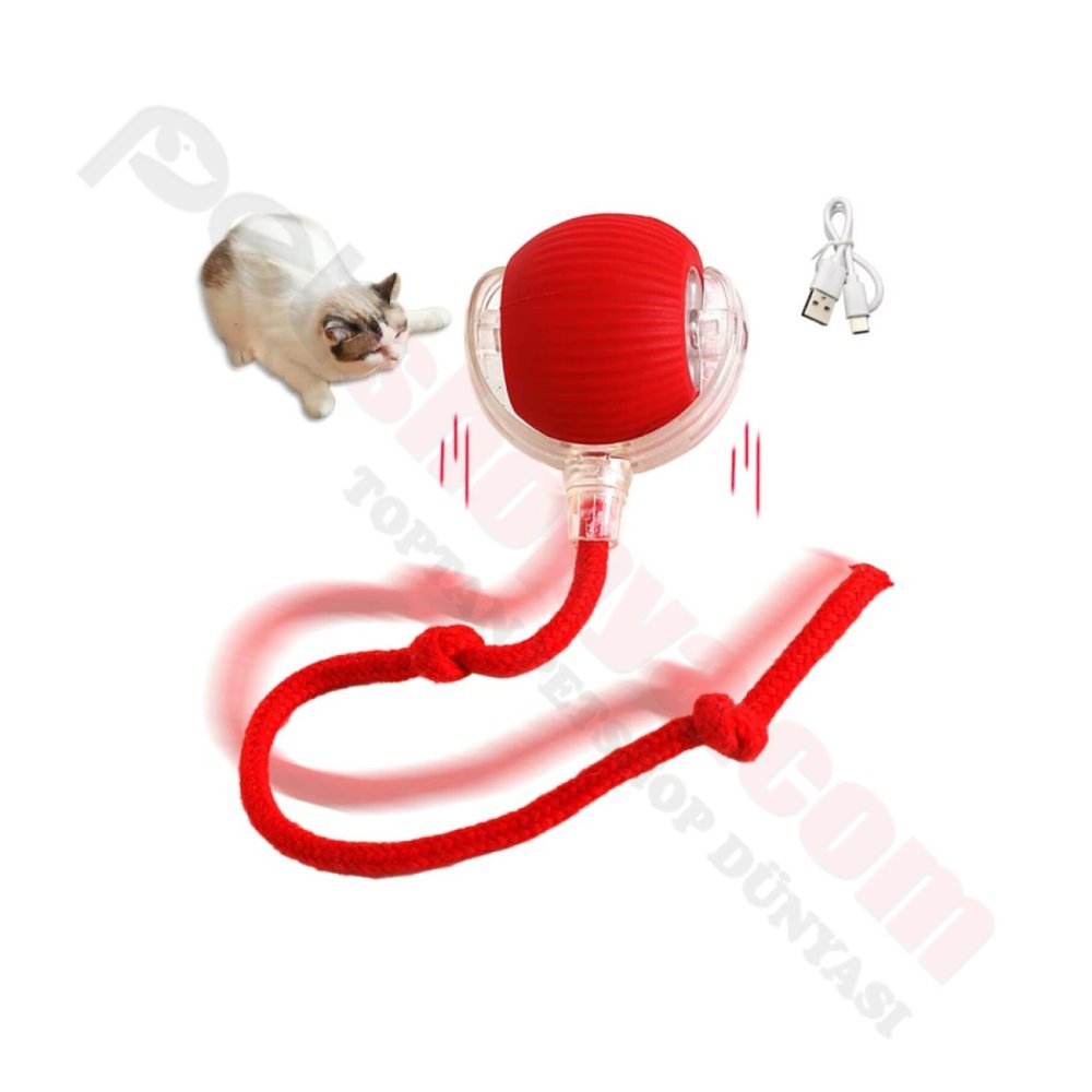 P02 KENDİNDEN HAREKETLİ SARJLI AKILLI OYUN TOPU