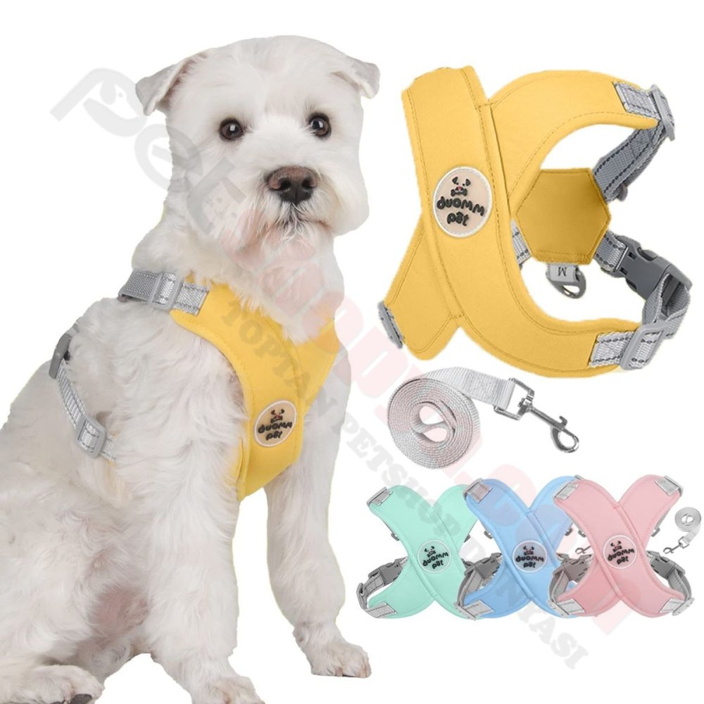 KEDİ KÖPEK GEZDİRME