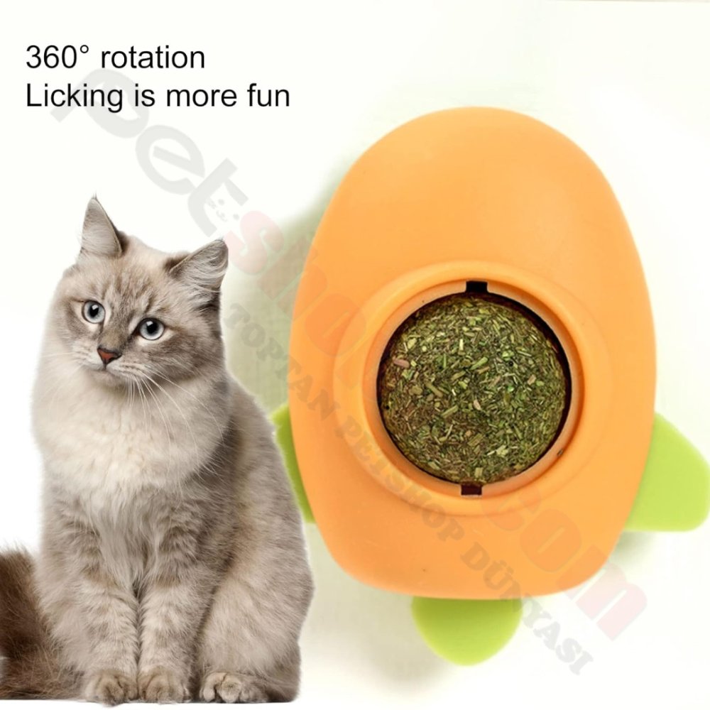 KEDİ YALAMA TOPU UÇAK MODEL