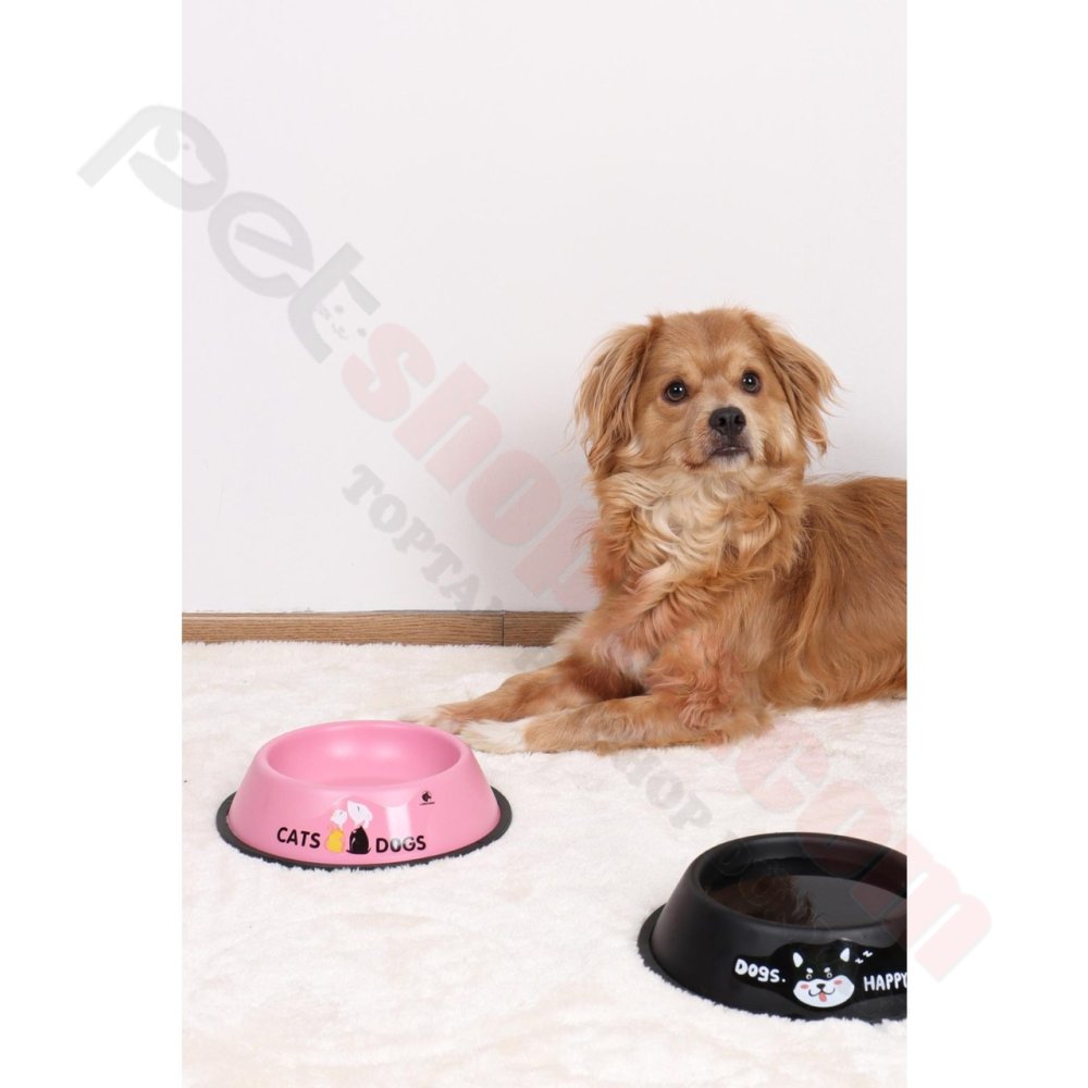 16 cm RENKLİ METAL MAMA KABI PASLANMAZ