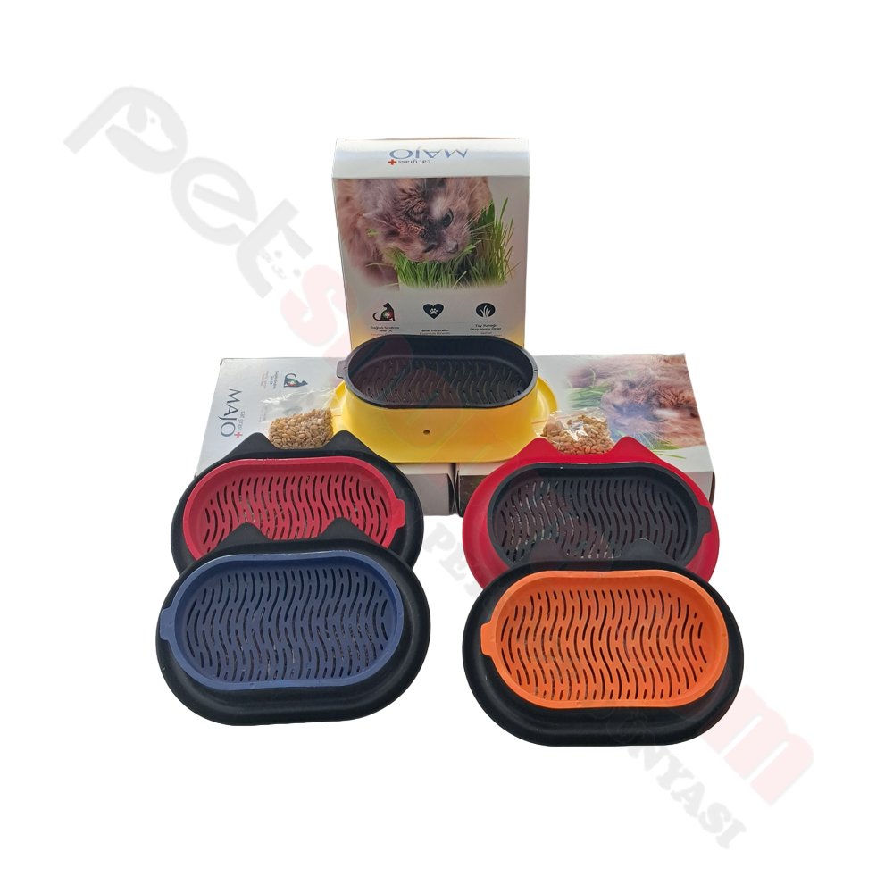 MAJO PLASTİK KEDİ KULAKLI KEDİ ÇİMİ VE MAMA KABI (YEDEKLİ)