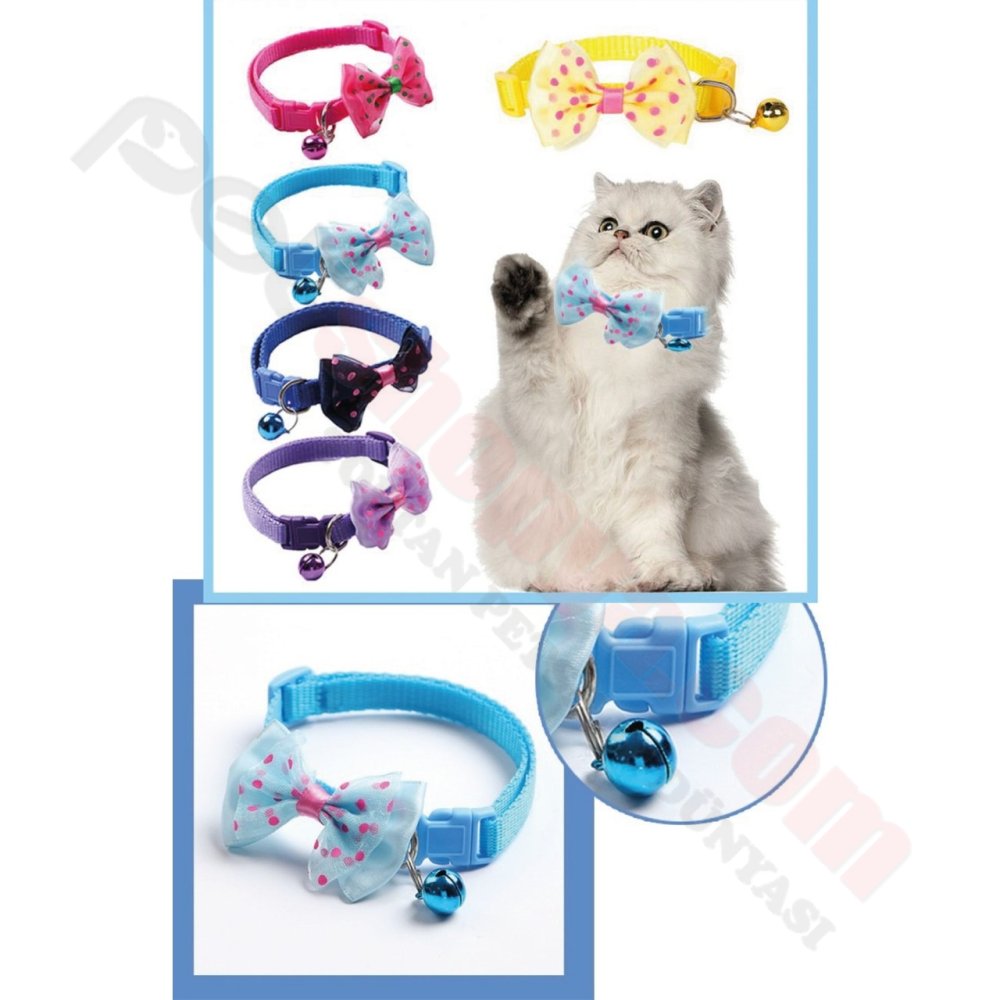 KEDİ VE KÖPEK FİYONKLU BOYUN TASMASI 12'Lİ