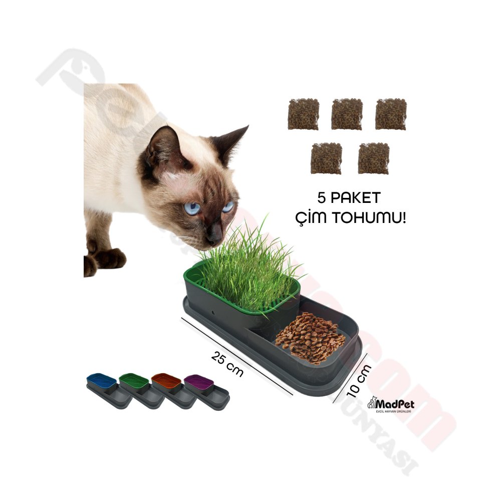 TOPRAKSIZ DOĞAL KEDİ ÇİMİ YETİŞTİRME KABI (ÇİM HEDİYE)