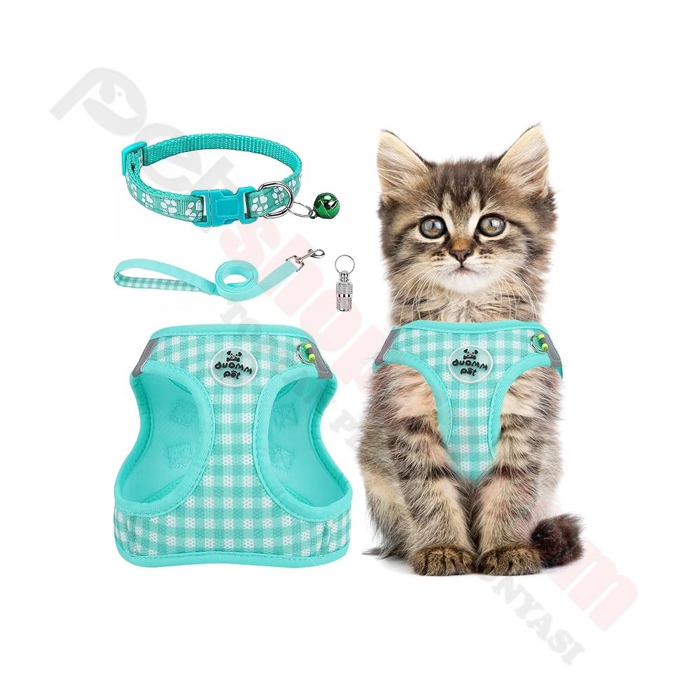 KEDİ KÖPEK GEZDİRME